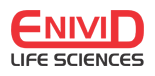 Enivid Life Sciences - A India Based Pharmaceutical company | Pharmaceutical company Ahmedabad Gujarat India